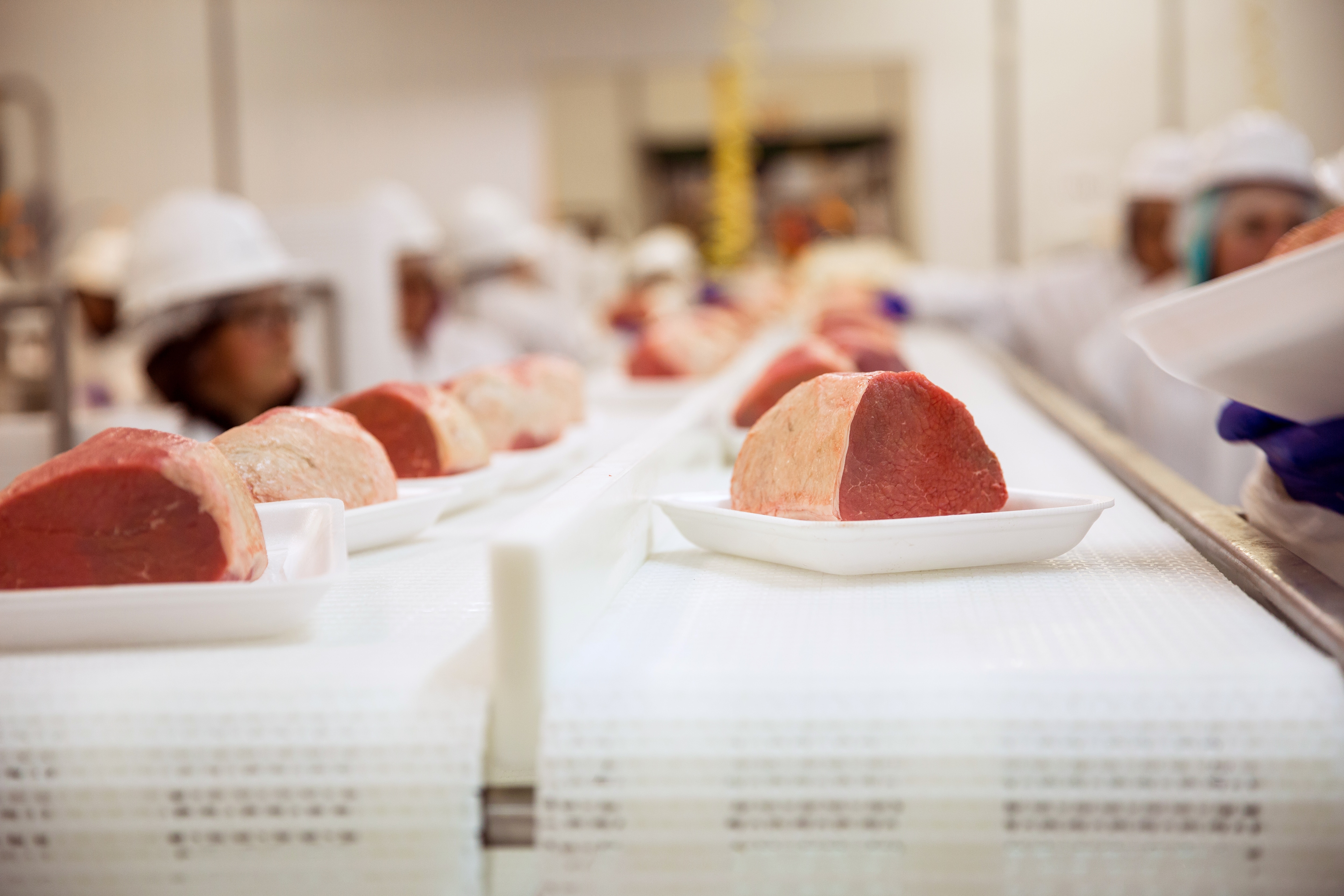 Meat packaging solutions on line